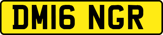 DM16NGR
