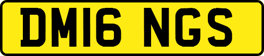 DM16NGS