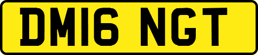 DM16NGT