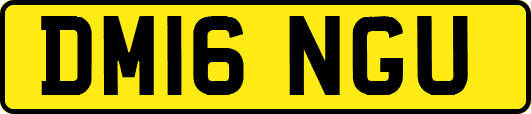 DM16NGU
