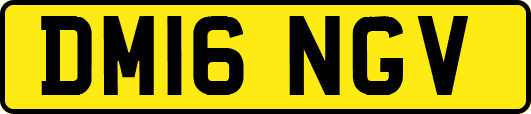DM16NGV