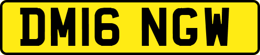 DM16NGW