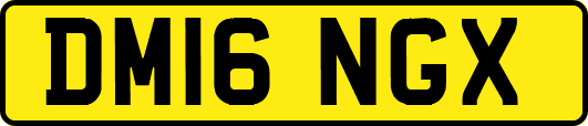 DM16NGX