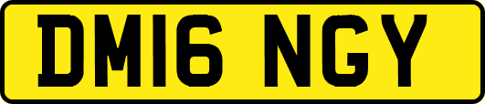 DM16NGY