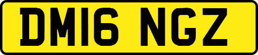 DM16NGZ