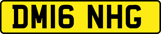 DM16NHG