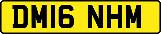 DM16NHM