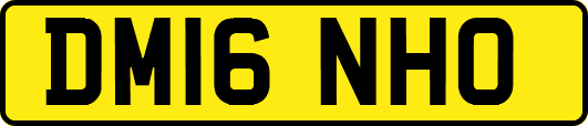 DM16NHO