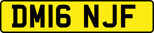 DM16NJF
