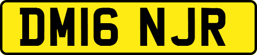 DM16NJR