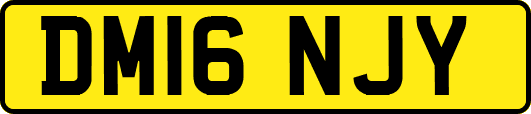 DM16NJY