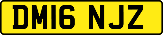 DM16NJZ