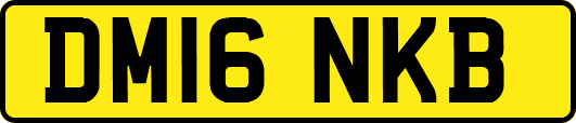 DM16NKB