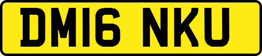 DM16NKU