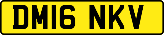 DM16NKV
