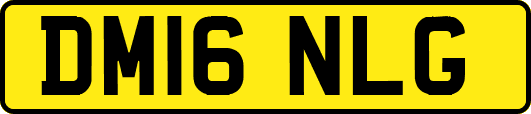 DM16NLG