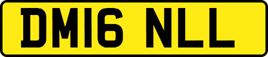 DM16NLL