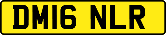 DM16NLR