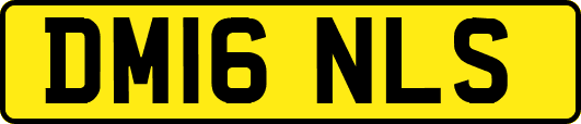 DM16NLS
