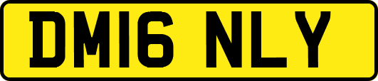 DM16NLY