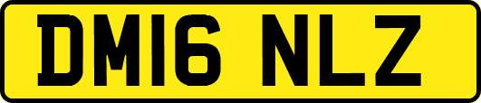 DM16NLZ