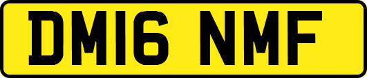 DM16NMF