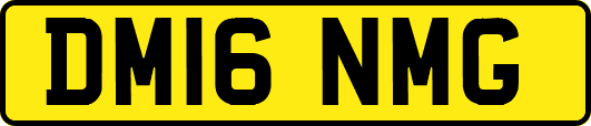 DM16NMG