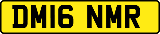 DM16NMR