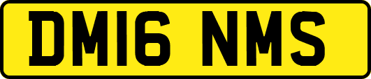 DM16NMS