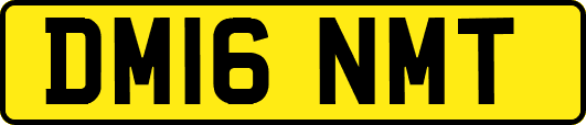 DM16NMT