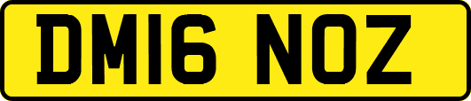 DM16NOZ