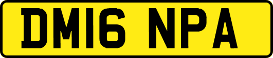 DM16NPA