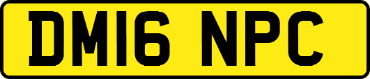 DM16NPC