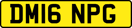 DM16NPG
