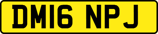 DM16NPJ
