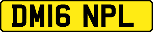 DM16NPL