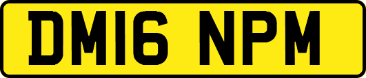 DM16NPM