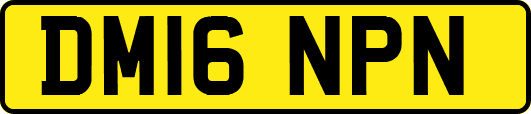 DM16NPN