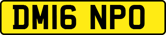 DM16NPO