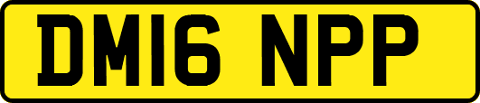 DM16NPP