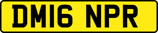 DM16NPR