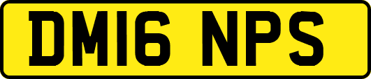 DM16NPS