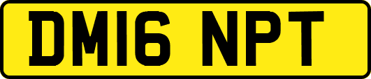 DM16NPT