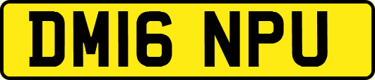 DM16NPU