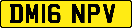 DM16NPV