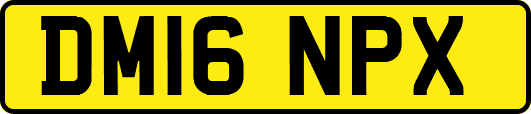 DM16NPX
