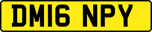 DM16NPY