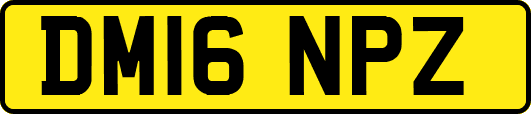 DM16NPZ