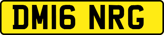 DM16NRG