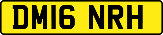 DM16NRH
